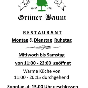 Landgasthof Grüner Baum Hotel